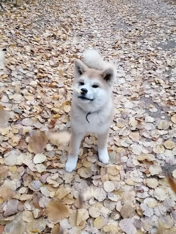 Фото