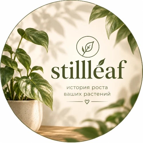 Stillleaf — канал в мессенджере MAX