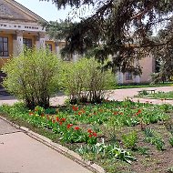 МЕТАЛЛИСТОВСКИЙ СЕЛЬСКИЙ КЛУБ АМВРОСИЕВСКОГО МУНИЦИПАЛЬНОГО ОКРУГА