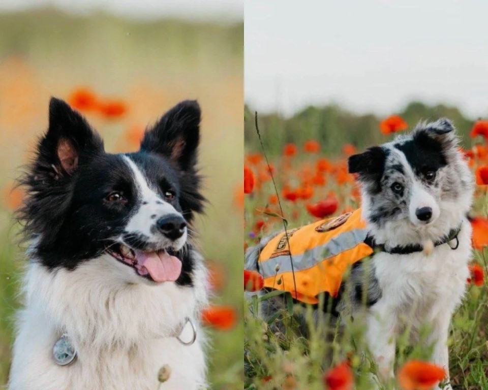 Фото