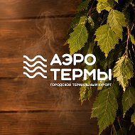 АЭРОТЕРМЫ БРЯНСК | городской термальный курорт
