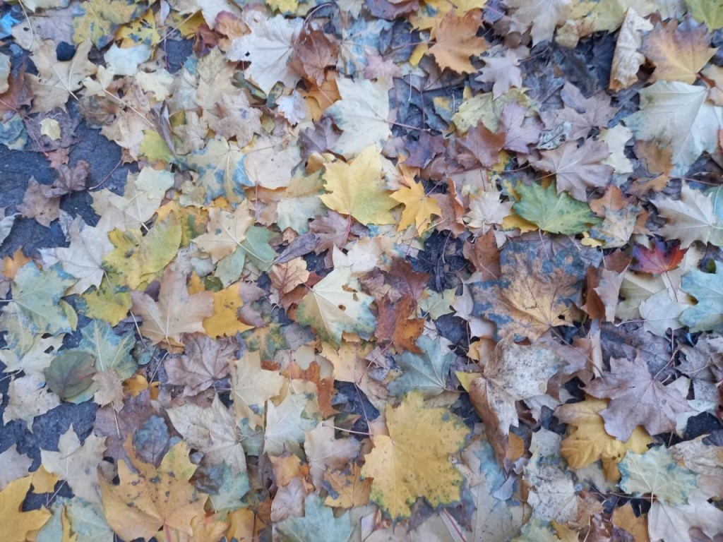 Фото