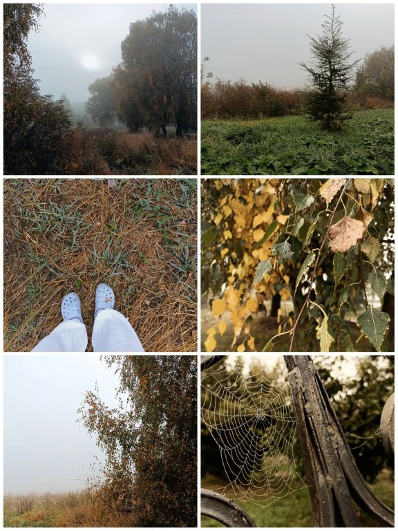 Фото