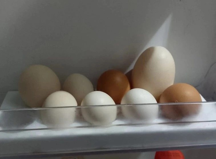 Фото