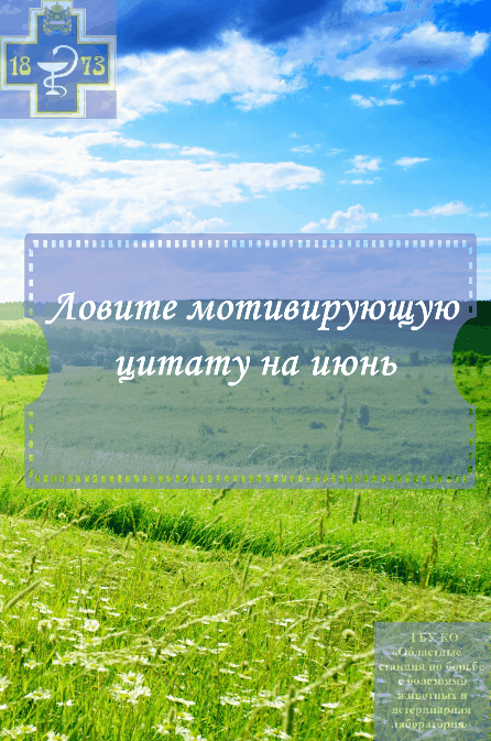 Ловите мотивирующую цитату
