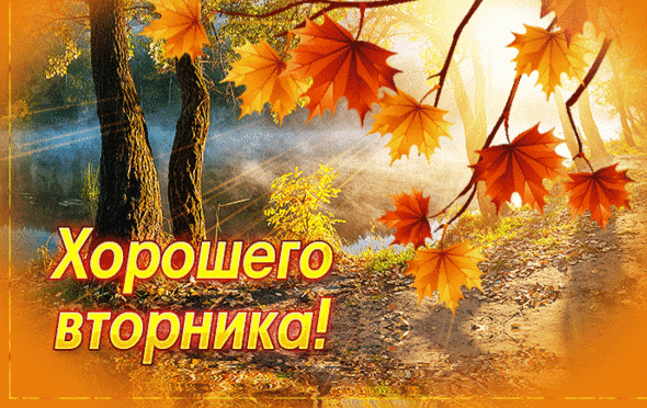 Всем доброе утро! Погода сегодня +18🌞🌞🌞🌞🌞в ночные часы до +3. Вам всем хорошего дн...