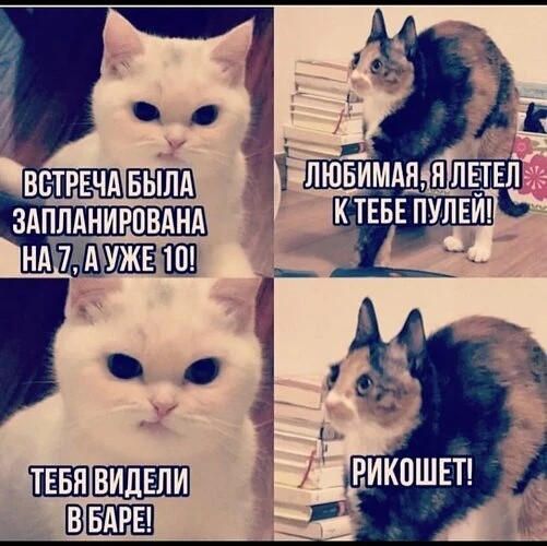 Фото
