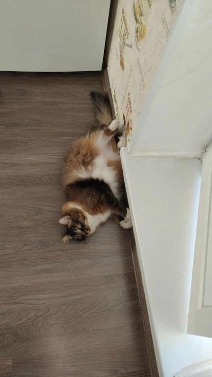 Фото