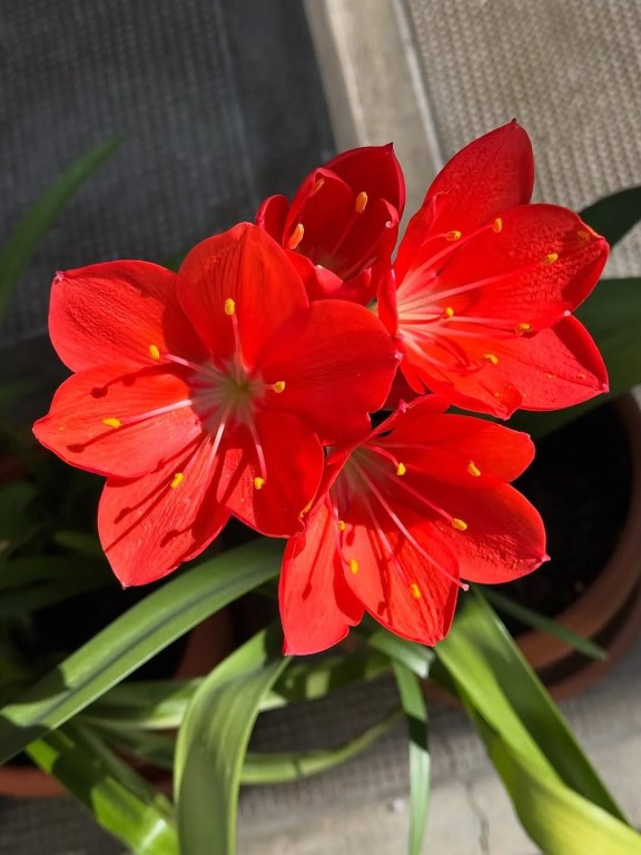 Фото