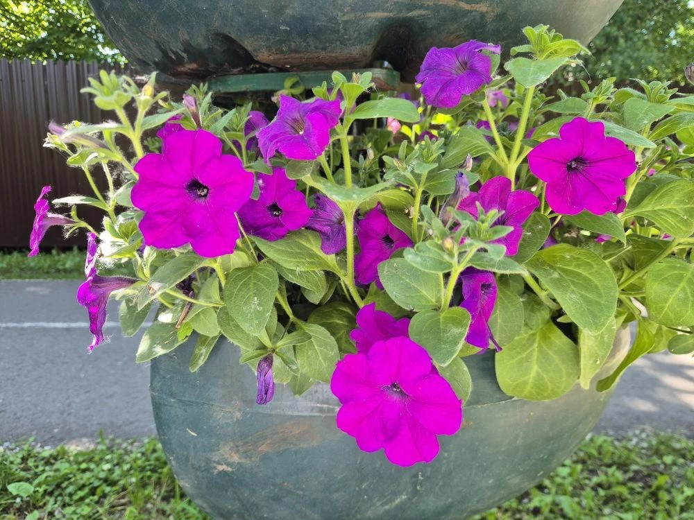 Фото