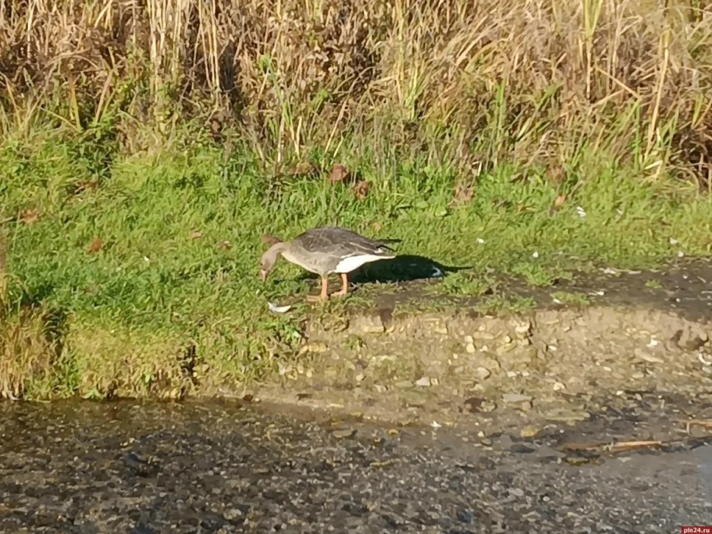 Фото