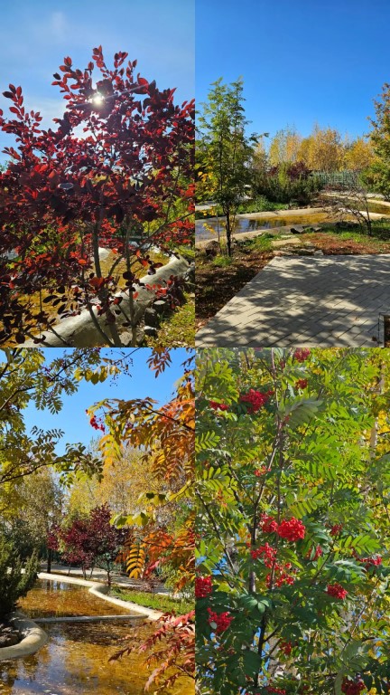 Фото