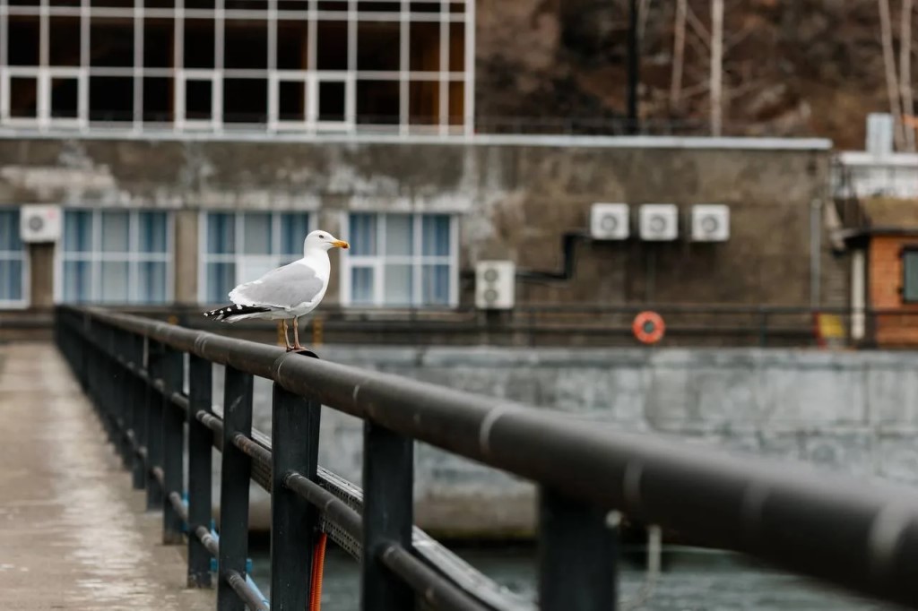 Фото