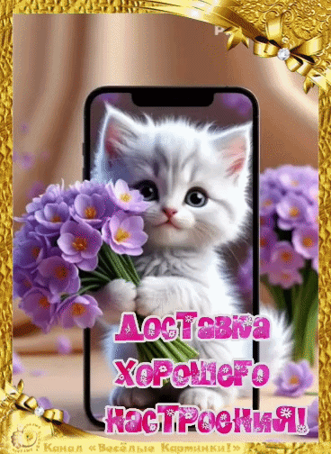 Канал Весёлые картинки!