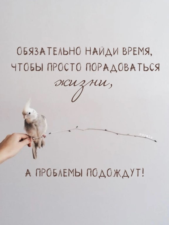 Фото
