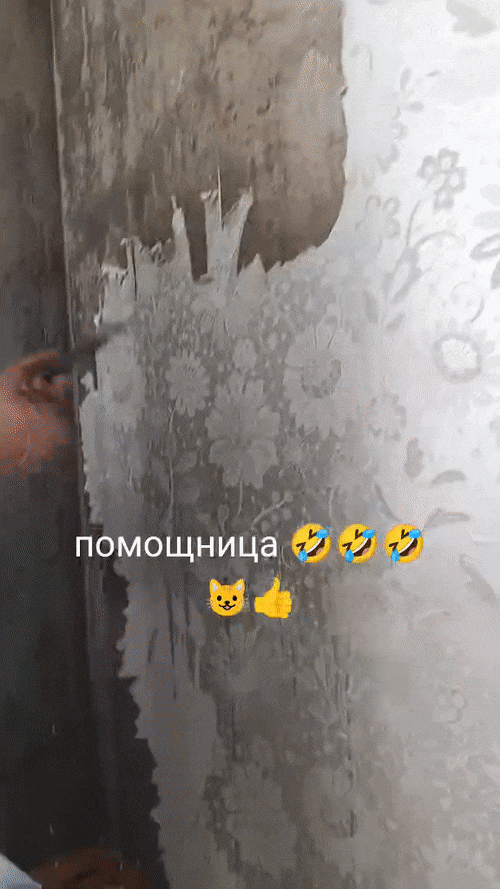 Добрый Мурзик 😻