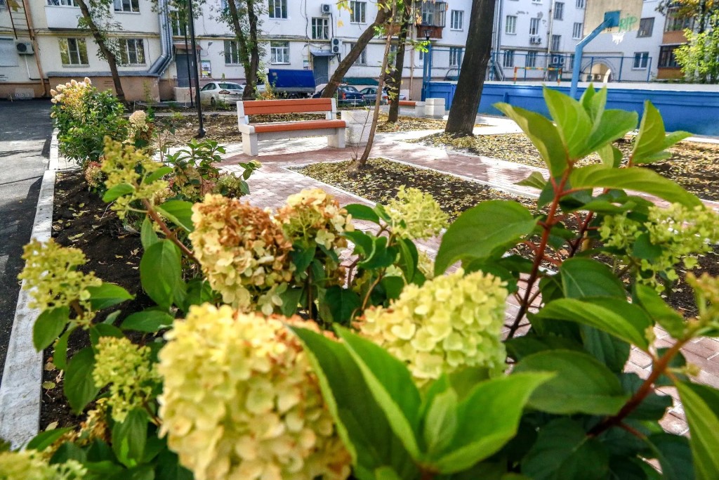 Фото
