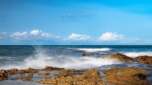 Фото