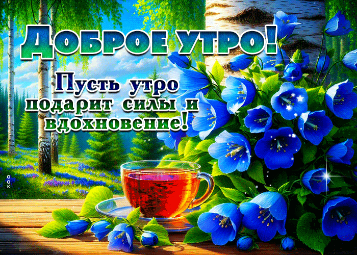 Спасибо за реакции! ❤️