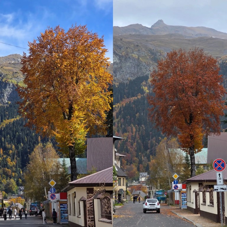 Фото