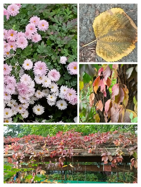 Фото