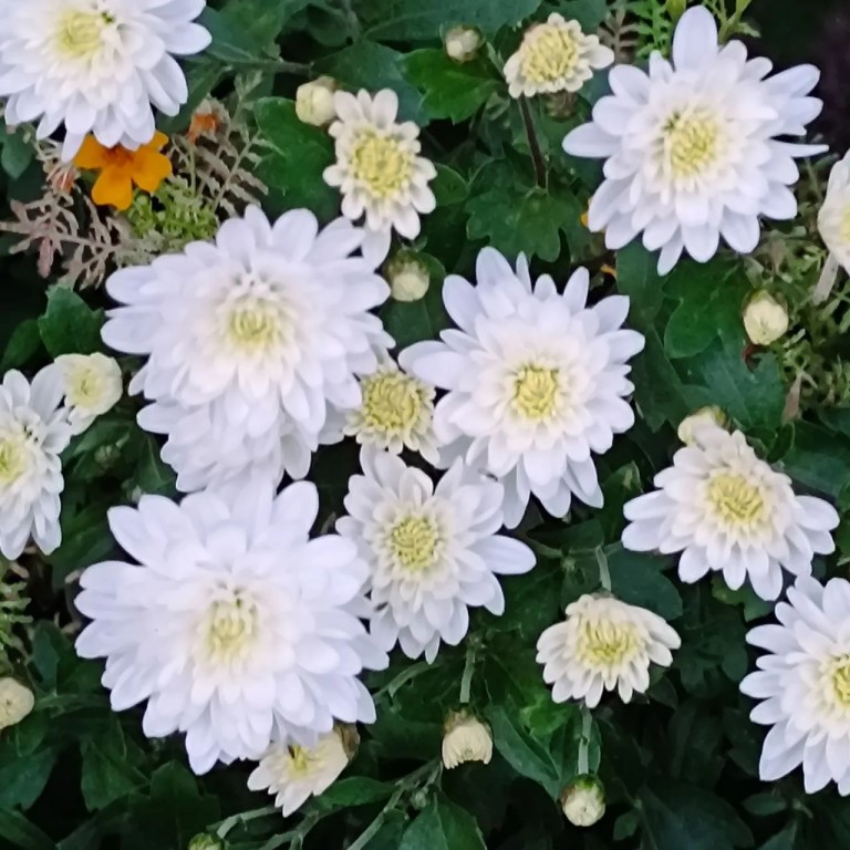 Фото