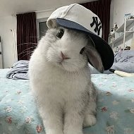 АВЫ