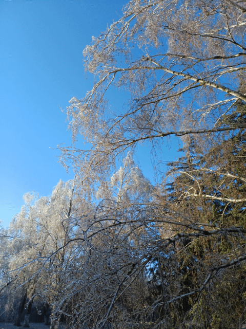 Стеклянный февраль🌲⛄️❄