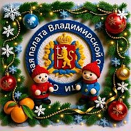 Счетная палата Владимирской области