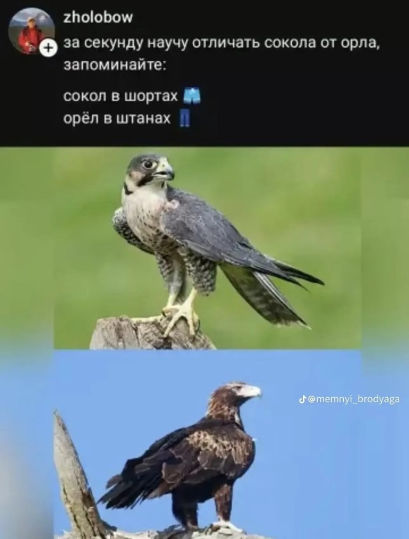 Фото