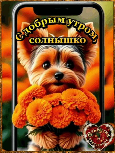 С добрым утром,  солнышко!
Пора просыпаться — мир уже скучает по твоей улыбке! 
Просыпайся медленно,