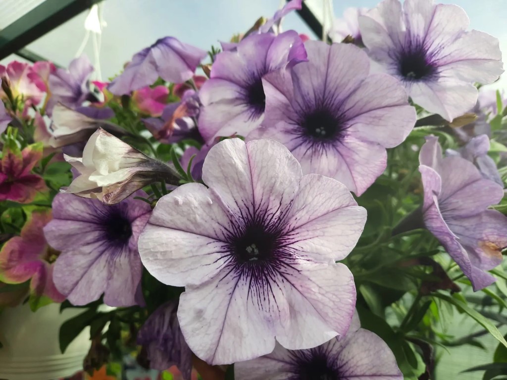 Фото