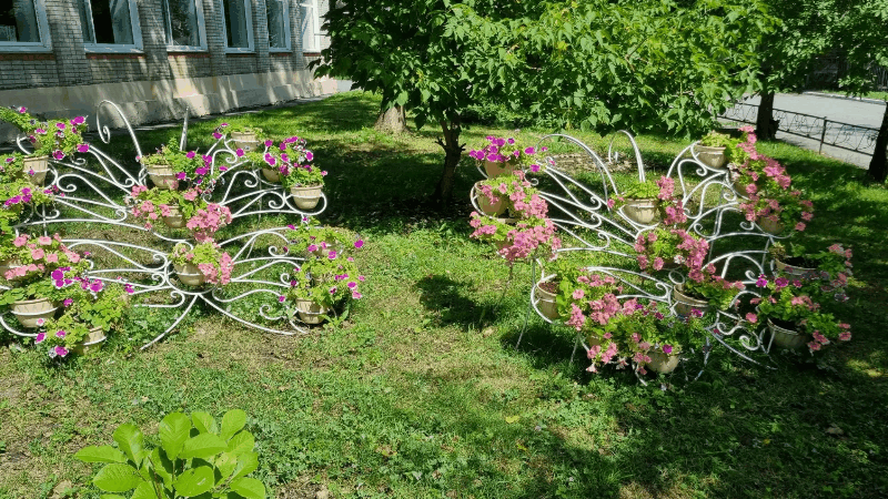 🌺 Цветочный «детектив»: ищем «секретный код» школьного двора!