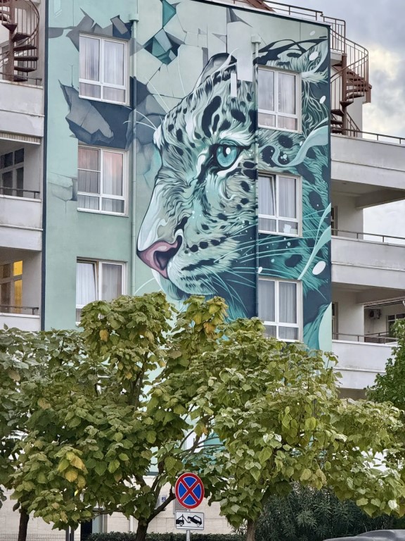Фото