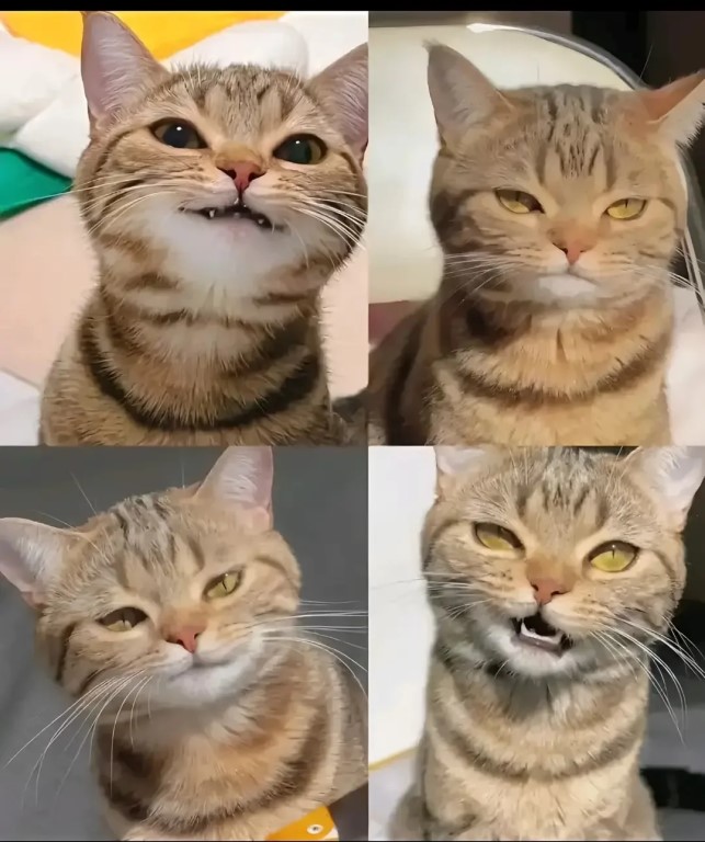 Фото