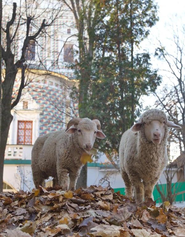 Фото