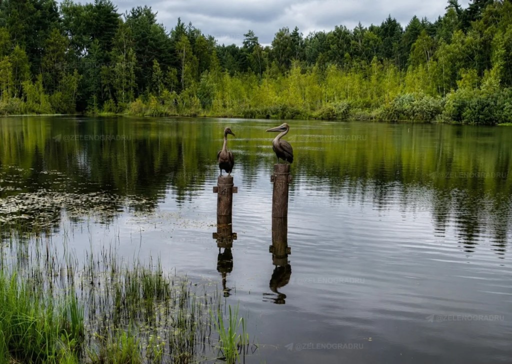 Фото