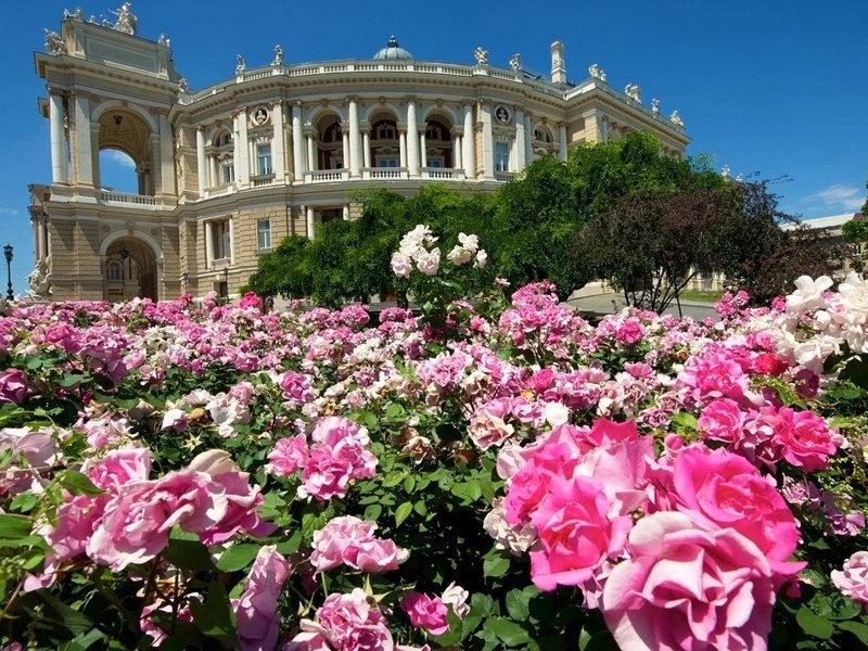 Фото