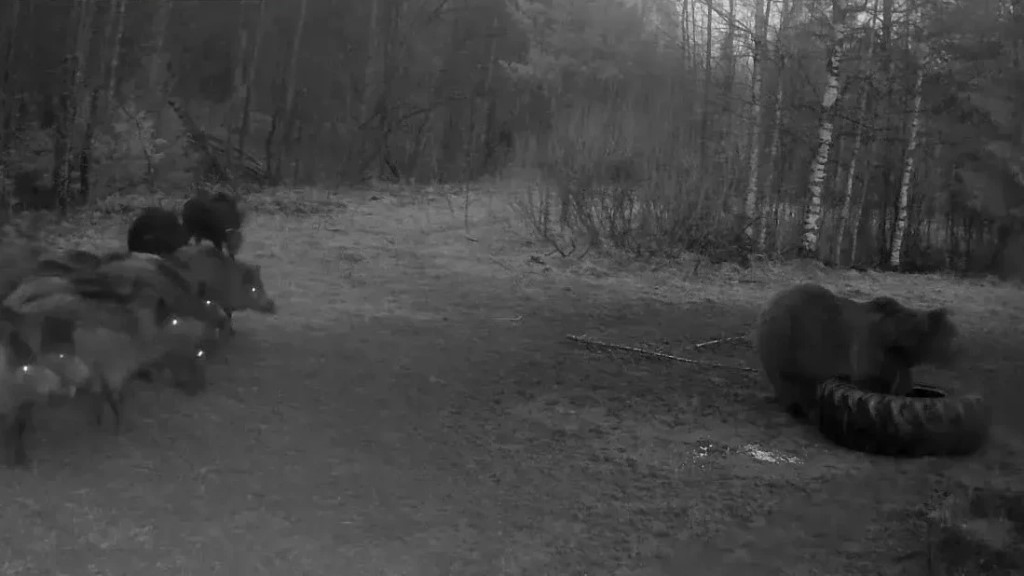 Фото