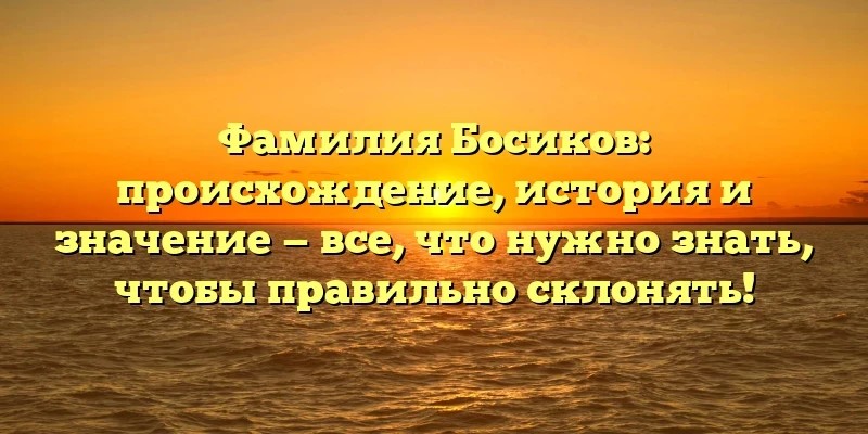 Фото