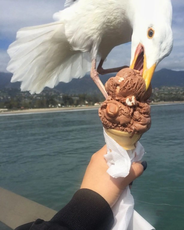 Фото