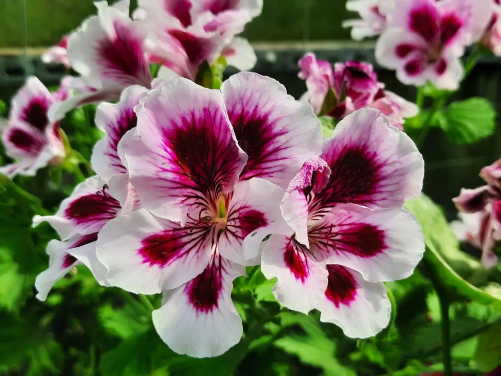 Фото