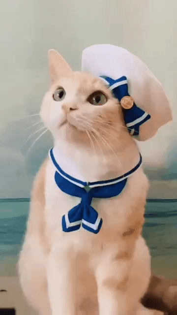 Я МОРЯЧКА , ТЫ МОРЯК ,