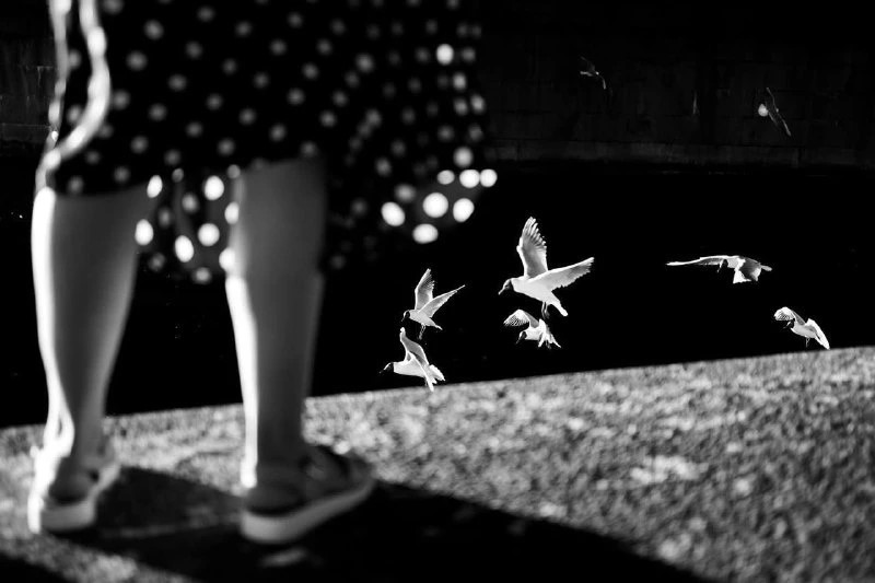 Фото