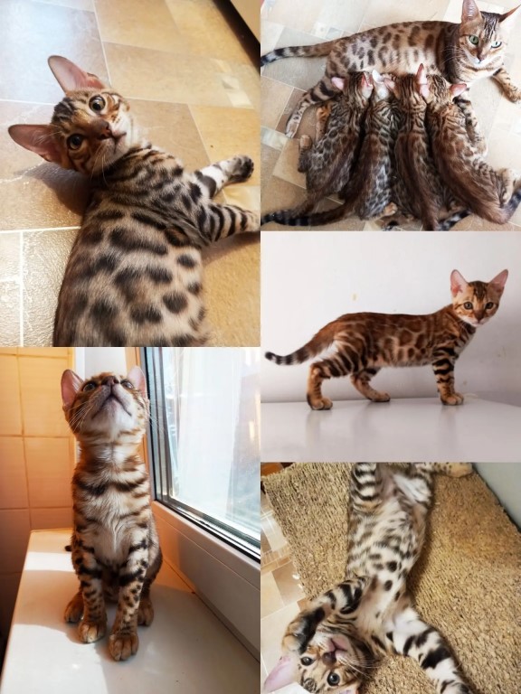Фото