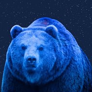 ЮА  "Медведь" Ростов Н/Д, Бердянск  +7 949 749 0462  +7 990 281 49 67