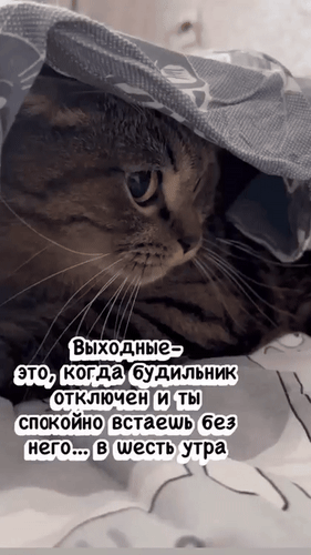 ❤Дарим эмоции по МАКСимуму ✨
