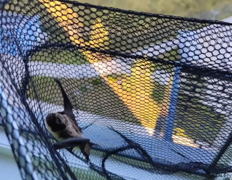 Фото