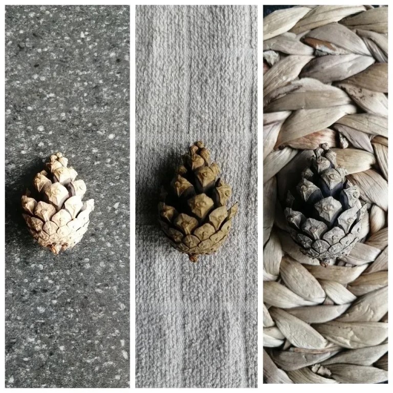 Фото