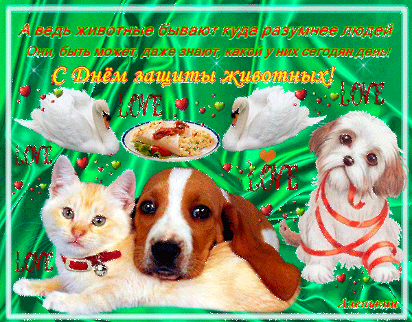 Дорогие наши друзья и подписчики!